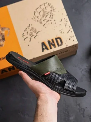 мужские шлепанцы L-73