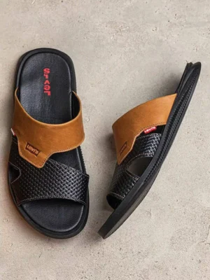 мужские шлепанцы L-75